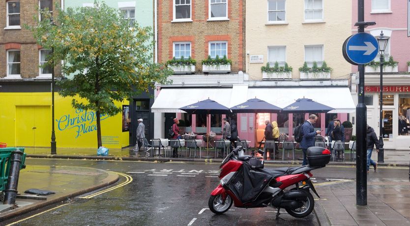 Photo of Coralito Olive