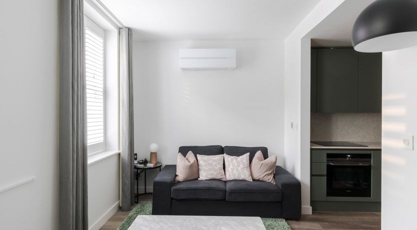 Photo of Coralito Olive