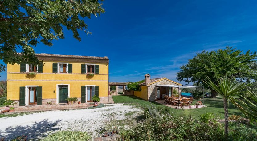 Photo of A Sunny Disposition