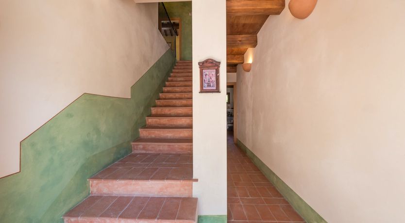 Photo of A Sunny Disposition