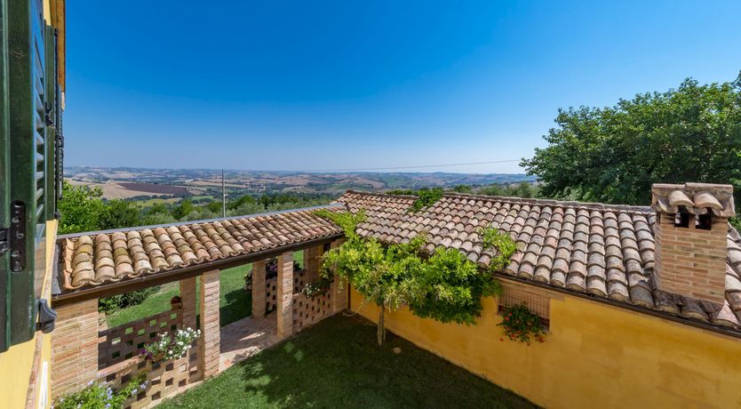 Photo of A Sunny Disposition