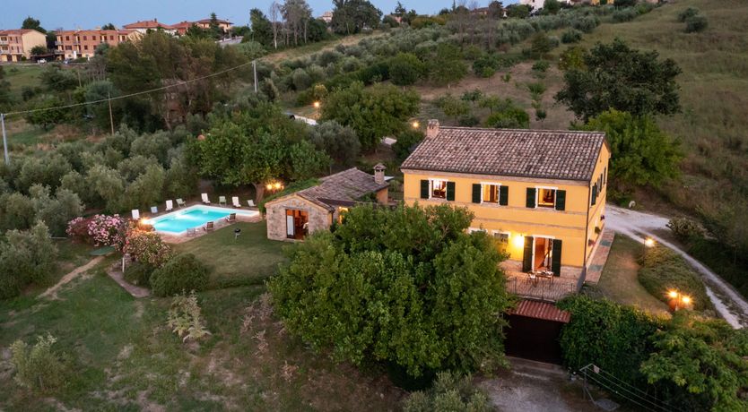 Photo of A Sunny Disposition