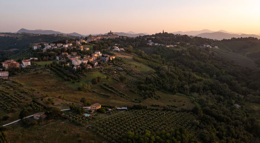 Photo of A Sunny Disposition