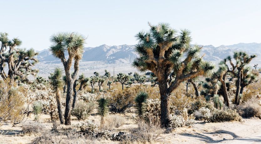 Photo of Ventana Cove