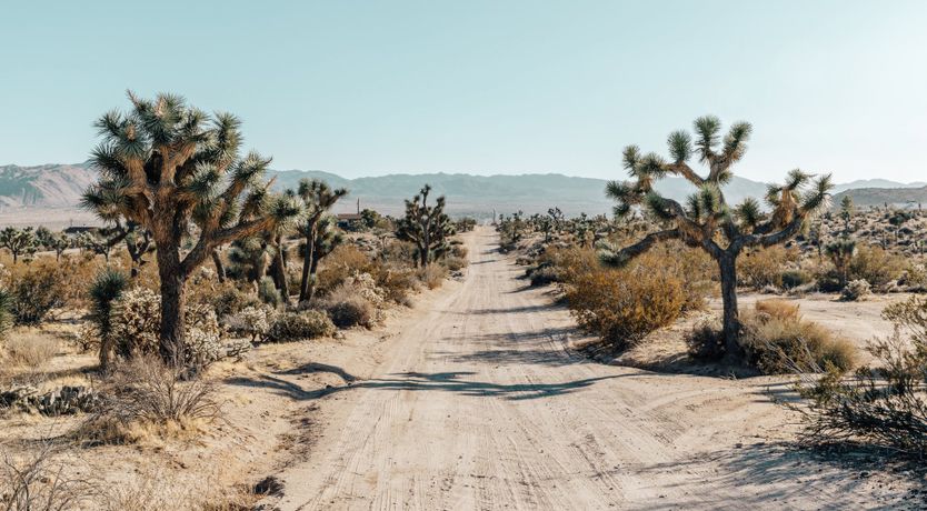 Photo of Ventana Cove