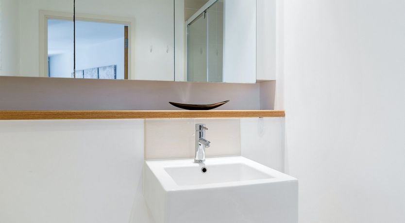 Photo of The Chameleon