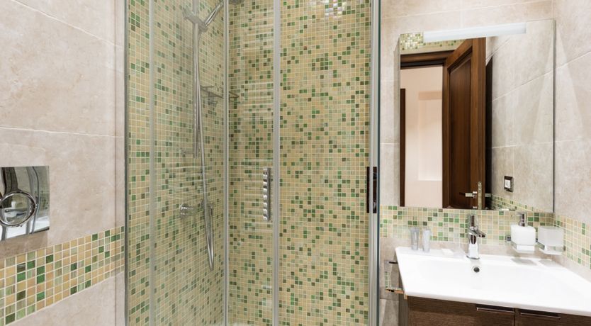 Photo of Fern Fronds