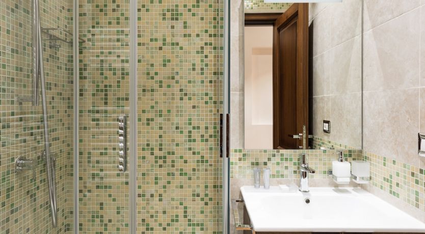 Photo of Fern Fronds