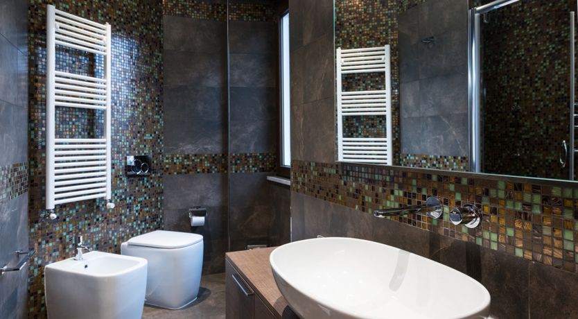 Photo of Fern Fronds