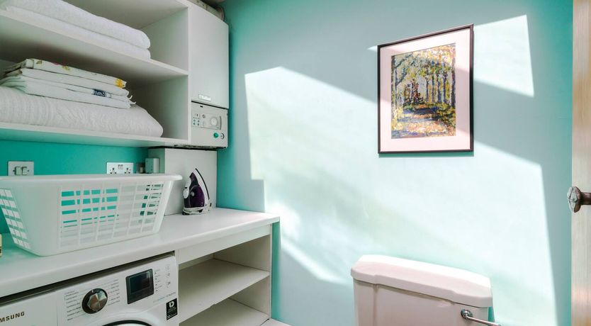 Photo of Colourful Connoisseur