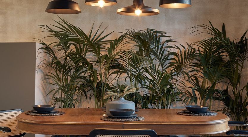 Photo of Before A Mirror