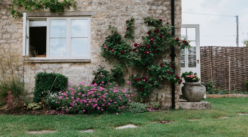 Photo of The Little House