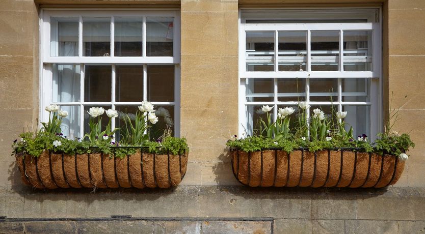 Photo of Beaming Colours