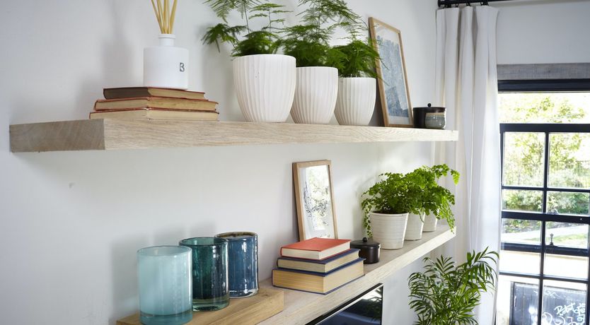 Photo of Beaming Colours