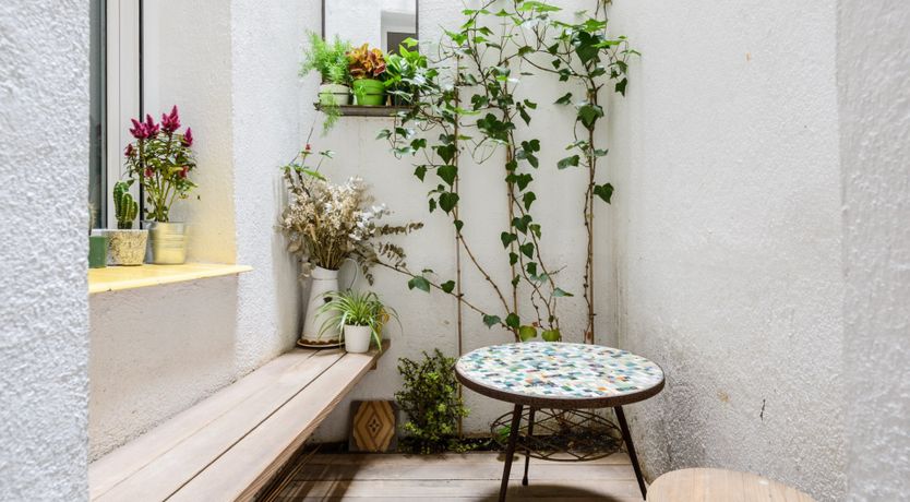 Photo of The Hidden Library