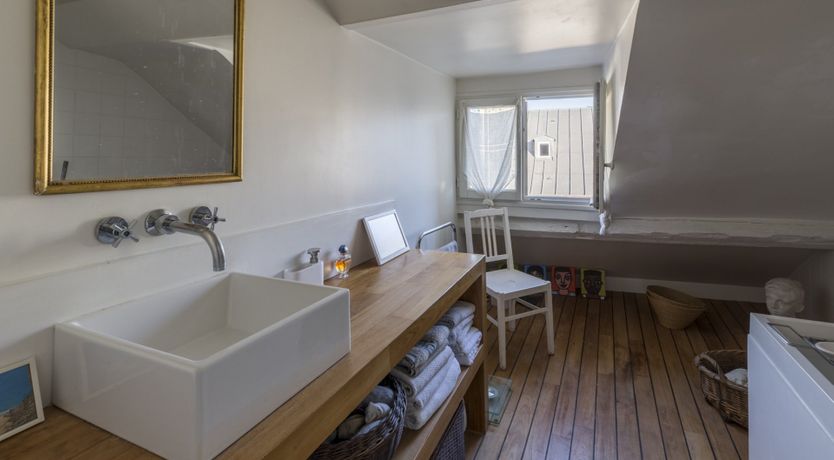 Photo of Cat on a Hot Tin Roof