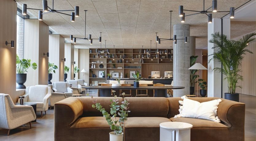 Photo of Angora Pine