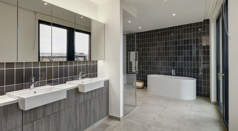 Photo of Angora Pine