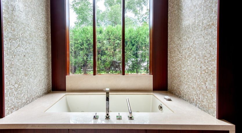 Photo of Cherry Woodpecker