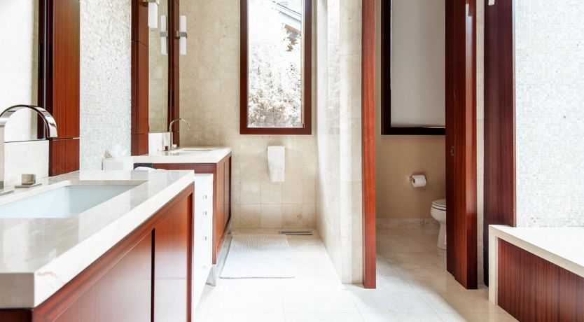 Photo of Cherry Woodpecker