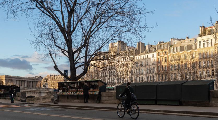 Photo of Starry Eyed