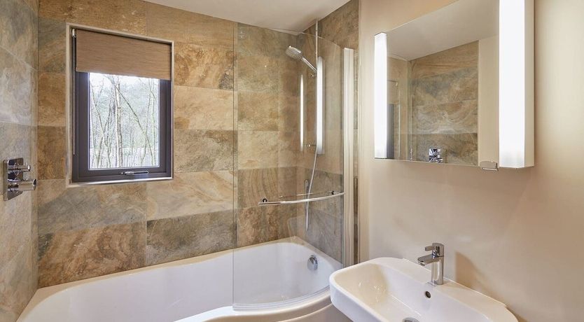 Photo of Woodland Glow