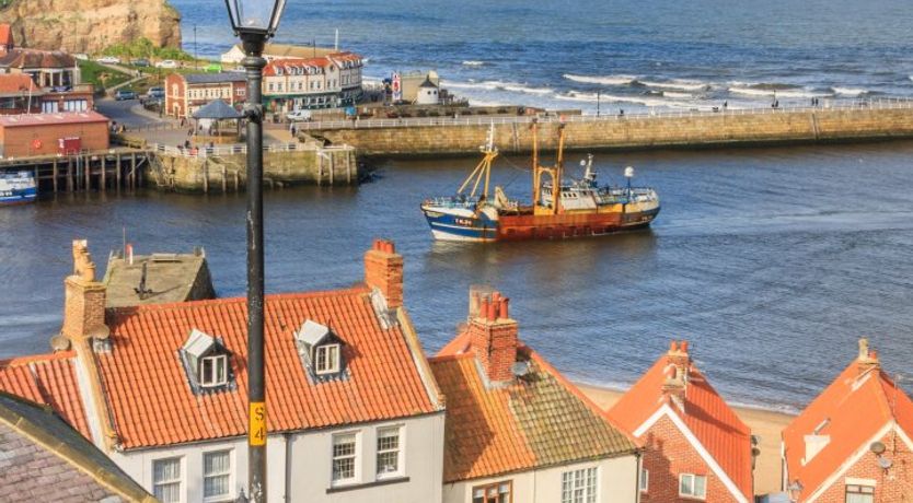 Photo of Woodland Glow