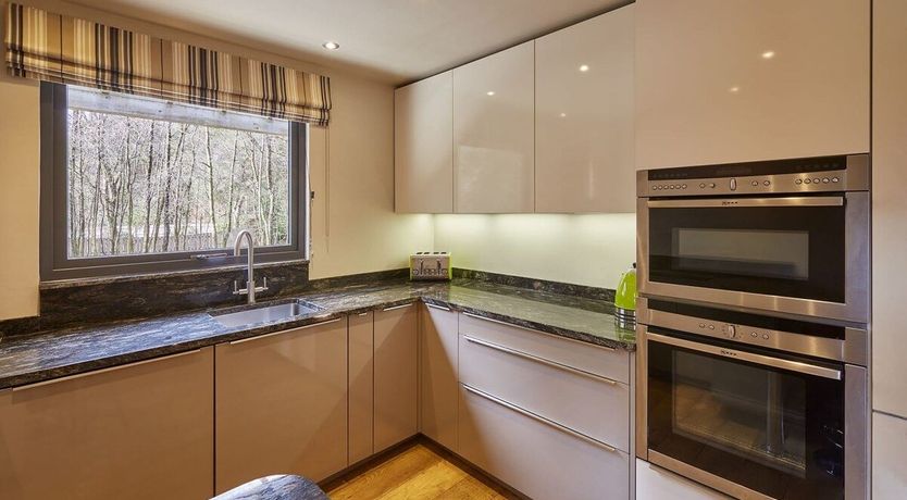 Photo of Woodland Glow