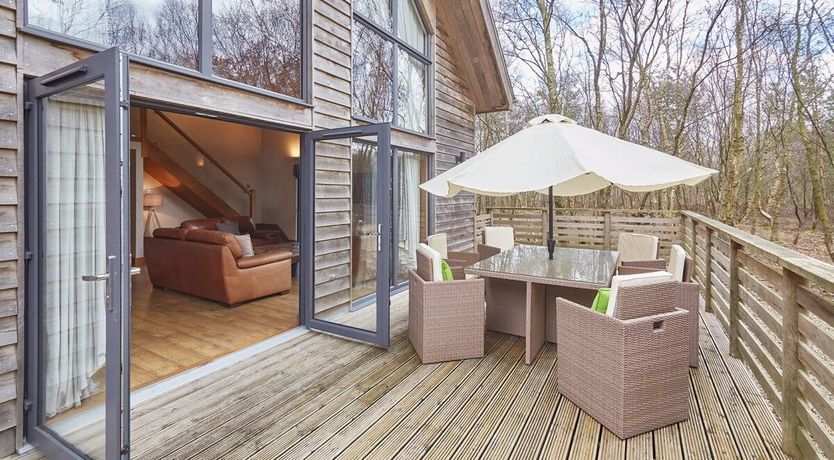 Photo of Woodland Glow