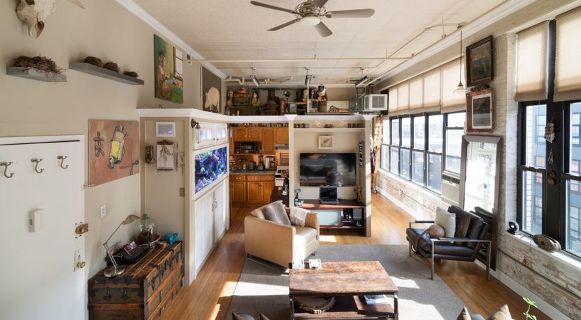 Photo of Bird's Nest