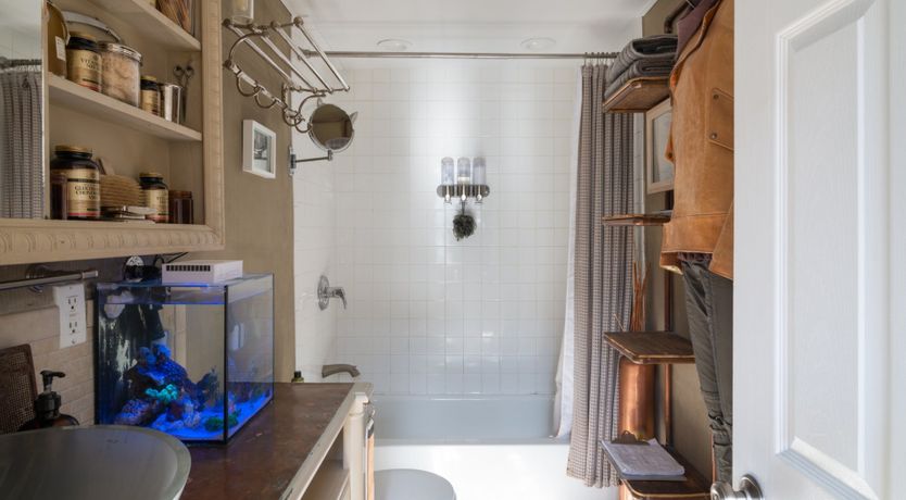 Photo of Bird's Nest