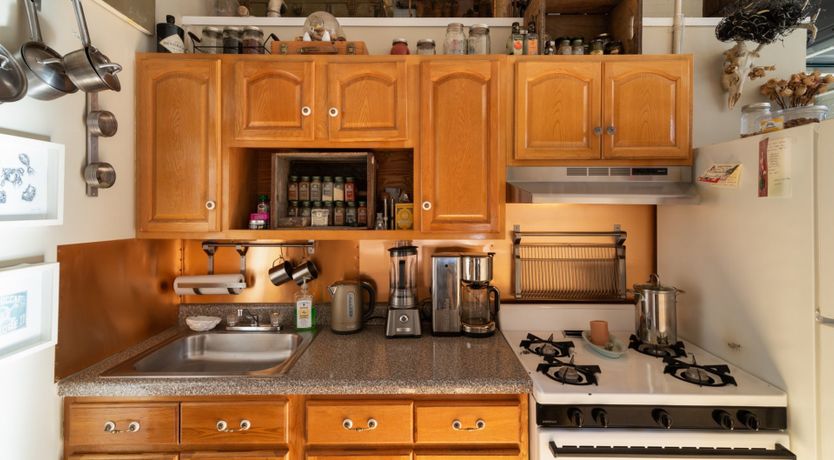 Photo of Bird's Nest