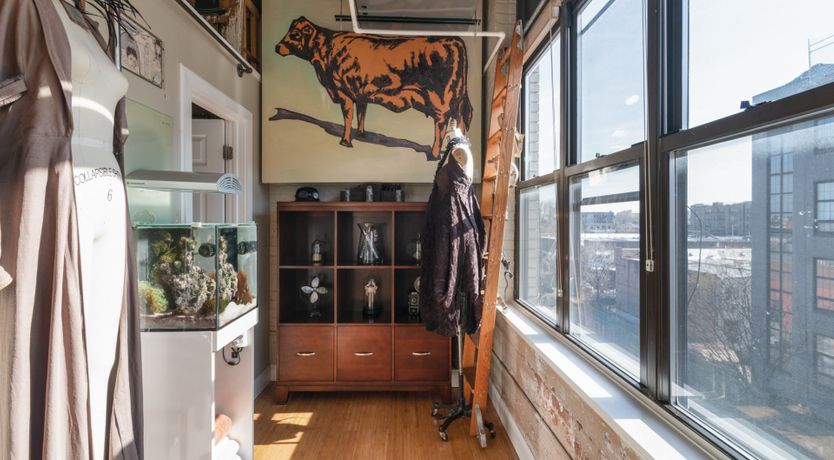 Photo of Bird's Nest