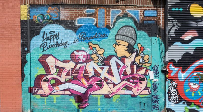 Photo of Bird's Nest