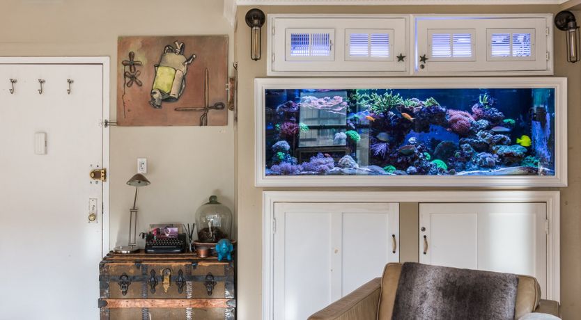 Photo of Bird's Nest