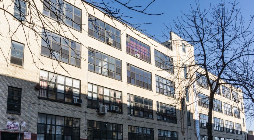 Photo of Bird's Nest