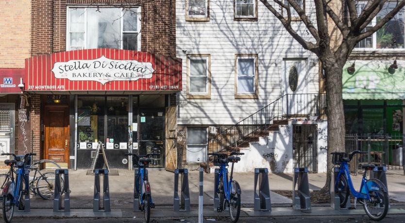 Photo of Bird's Nest