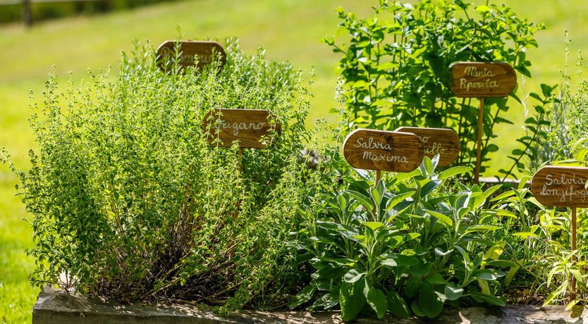 Photo of Enchanting Portico