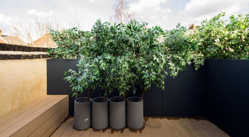 Photo of Pot Kettle Black