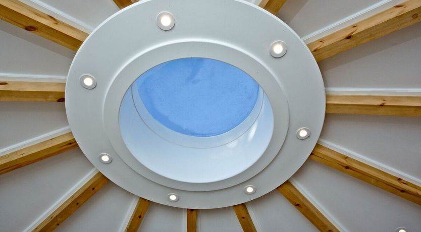 Photo of Whale's Belly