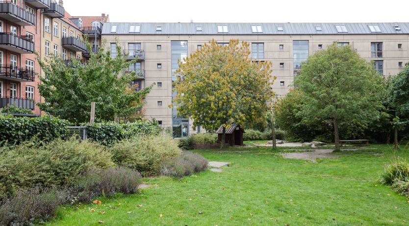 Photo of At First Blush