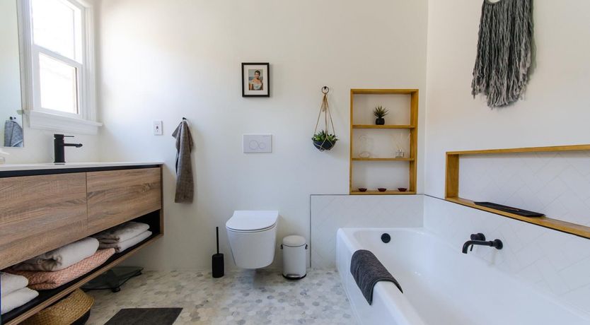 Photo of Silver Shell