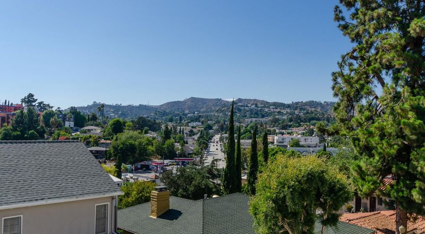 Photo of Silver Shell