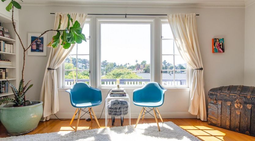 Photo of Silver Shell