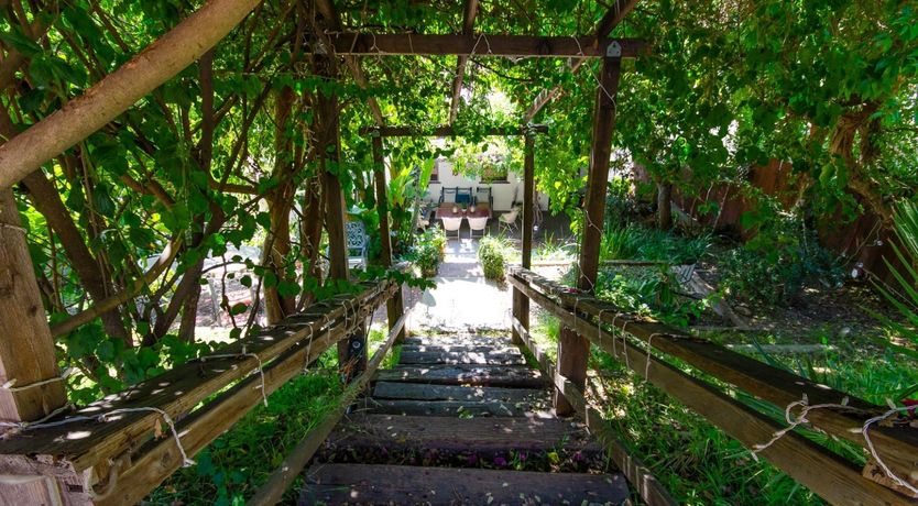 Photo of Silver Shell