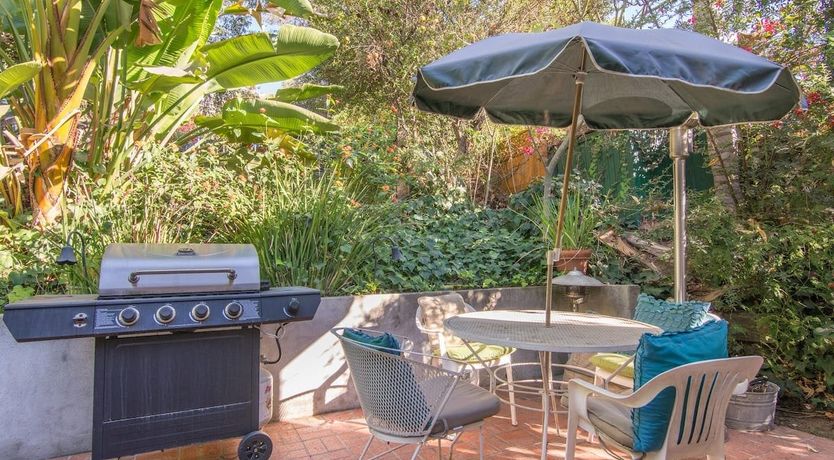 Photo of Silver Shell