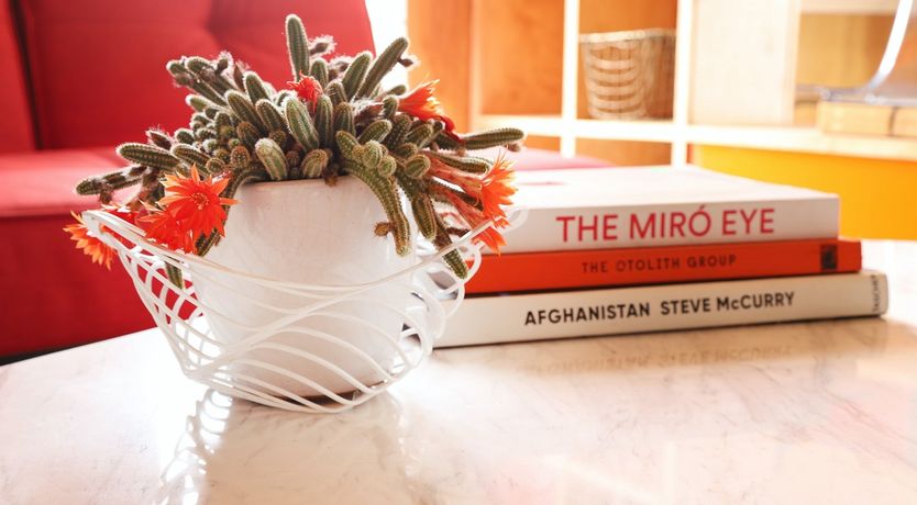 Photo of Abstractionist