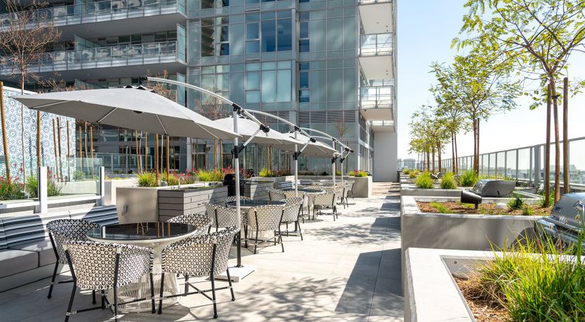 Photo of Cactus Spritzer