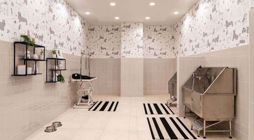 Photo of Cactus Spritzer