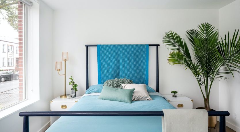 Photo of The Mesmerised Voyager